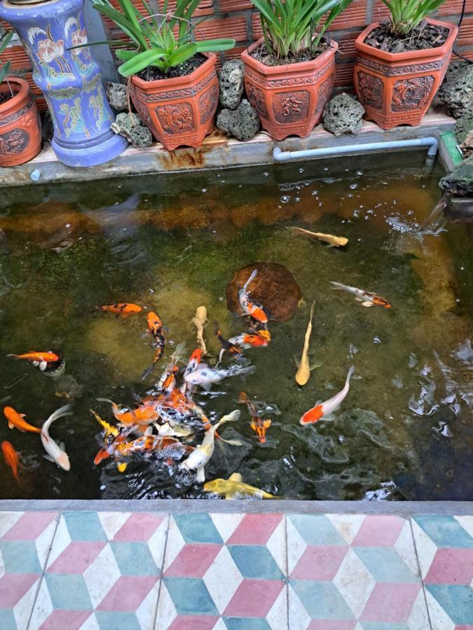 Hoa Lan Motel & Homestay Giong Tu Dien Exterior foto